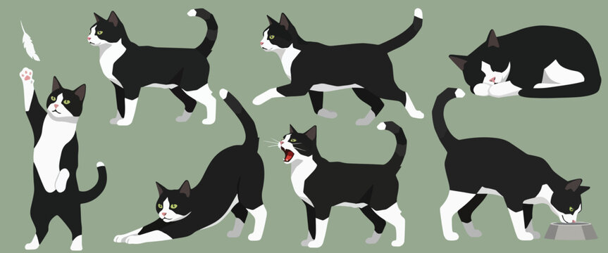 Cute domestic cat character design, flat cartoon style cat isolated vector . Perfect for cat graphics, pet shop branding, children&rsquo;s illustrations, stickers, and digital design projects.