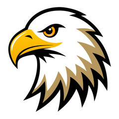 bald eagle vector illustration