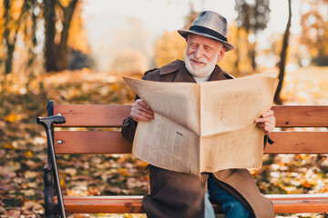 Senior man enjoying a fall afternoon reading a newspaper on a wooden park bench surrounded by...
