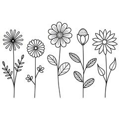Whimsical Minimalist Wildflower Line Art on White Background