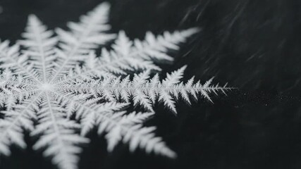 Macro Time-Lapse of Frost Crystals Growing into Beautiful Snowflake Pattern on Dark Background - Powered by Adobe