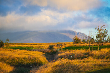Obraz premium Golden sunset field with mountains in Iceland