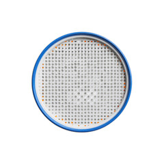 Close-up of a Round Perforated Filter with Blue Rim
