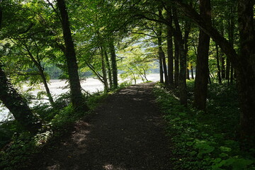 Obraz premium Kamikochi in Nagano, Japan - 日本 長野 上高地