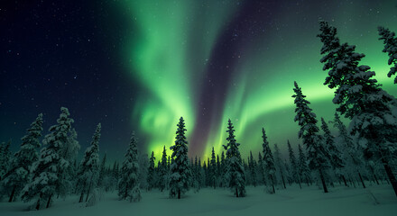 A spectacular display of the green aurora borealis illuminating a snow-covered pine forest at night.