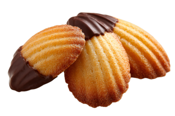 French madeleine cookies with chocolate dipped shell shaped sponge cakes, golden brown baked dessert pastry, isolated on white background