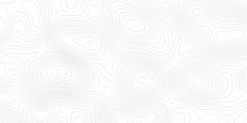 Topographic seamless map pattern with contour lines. Abstract geographic elevation design, lines sea map modern white background.	