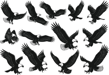 Obraz premium Flying bald eagle vector set, black and white silhouette illustrations, majestic raptor poses, wildlife clipart, hunting bird graphics, isolated eagle designs