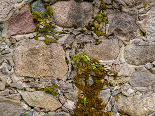 Part of a stone wall with moss