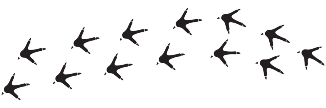 Chicken Footprint Path Vector – Forward and Backward Bird Tracks Icon Illustration
