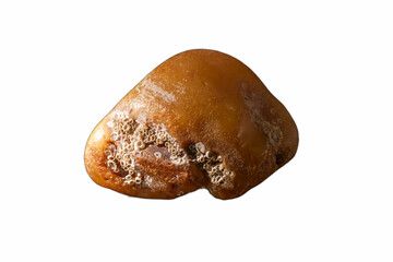 Unique amber stone showcasing intricate natural textures found on a beach during low tide