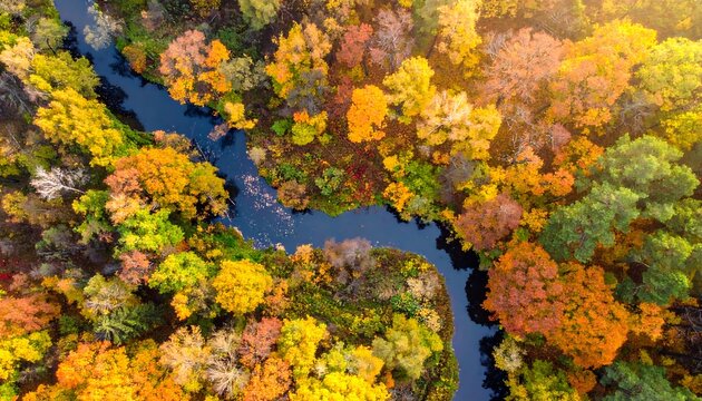 Autumn forest river aerial view