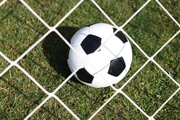 Soccer ball near net on green grass outdoors, closeup. Football game