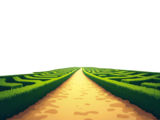 green grass in the mazes park and road 