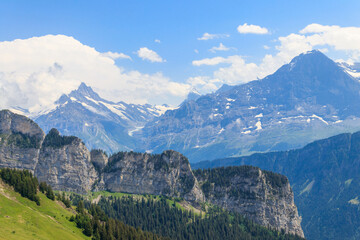 Obraz premium Panoramic view of snow-covered Swiss Alps and green flowering alpine meadow near Schynige Platte in Bernese Oberland, Switzerland