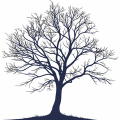 Obraz premium Dark silhouette of a bare tree with intricate branches against a white background