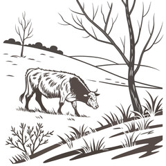 Lone cow grazing in a barren landscape with bare trees and rolling hills under a white sky