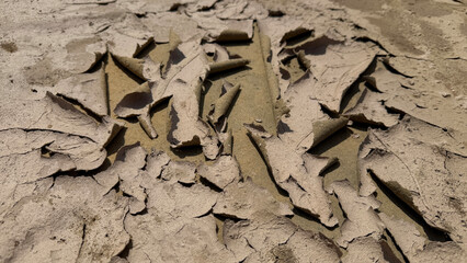 Cracked Earth Texture, Arid Landscape Detail