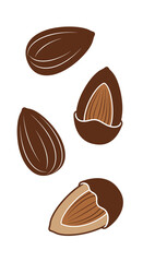 Chocolate covered almonds on a white background.