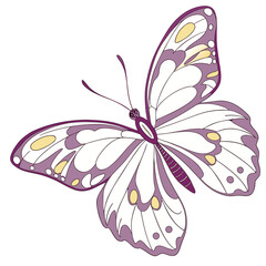 A vibrant pink and black butterfly with colorful wings rests on a flower in a beautiful vector illustration of nature, embodying the beauty of spring and summer
