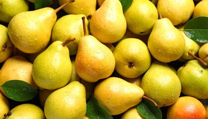 Fresh ripe pears with water drops background, fruits backdrop