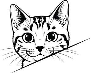 Cat face line art, black and white illustration, peeking feline drawing, expressive eyes, whiskers detail, cartoon style, pet vector