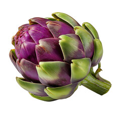 Fototapeta premium Fresh Whole Artichoke with Stem