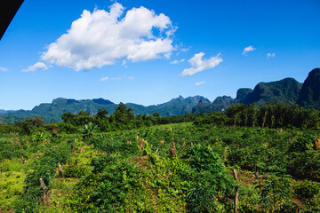 Scenic Laotian Farmland with Karst Mountains © Thipphachanh