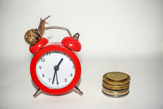Classic round clock with arrows and a large beautiful snail with a spiral shell and coins . Time is money concept