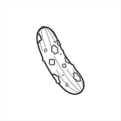 Fresh green cucumber isolated on white background