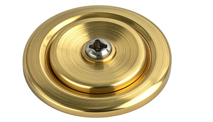 Golden circular metallic disc with concentric circles and a screw