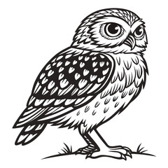 Stylized black and white illustration of a cute little owl standing on grass with detailed feathers