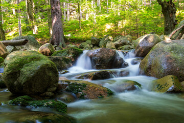 Crystal Clear Mountain Stream in the Karkonosze Mountains