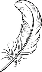 Obraz premium Black bold outline with white background, Minimal line drawing of single feather falling, thin elegant lines