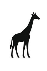 giraffe vector illustration