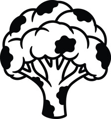 Illustration of a fresh cauliflower isolated on white background