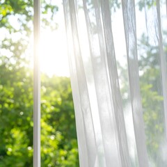 Sunlight streams through sheer curtains
