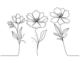 Elegant line art depicts three blossoming flowers in a minimalist style.
