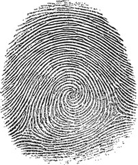 Fingerprint sketch hand drawn spiral whorl pattern biometric detail &mdash; stock vector
