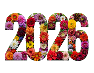 “2026” Shaped with Colorful Fresh Flowers, Front View, isolated on transparent background
