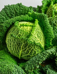 Close-up of a vibrant green savoy cabbage