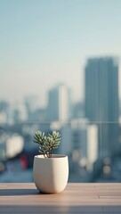 Small succulent plant in pot on balcony
