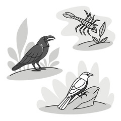 Illustration of two birds and a scorpion in a natural setting
