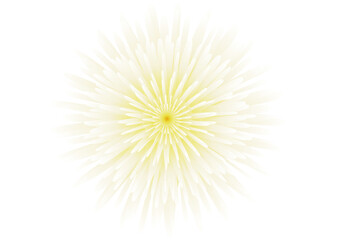 Obraz premium abstract yellow flower isolated illustration