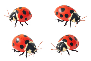 Colorful ladybugs with black spots, four different angles, vibrant red and black design, cartoonish style, glossy finish, for design template
