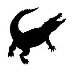 A single red rose with green leaves isolated on transparent background