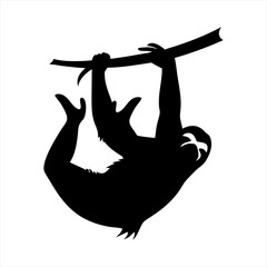 Black silhouette of a sloth hanging from a tree branch isolated on transparent background