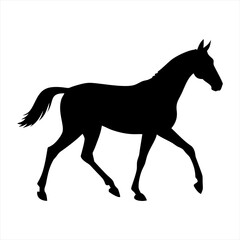 Black silhouette of a horse walking isolated on transparent background