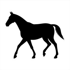 Black silhouette of a horse walking isolated on transparent background