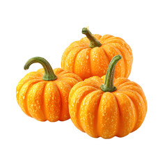 Obraz premium Three orange pumpkins isolated on transparent background
